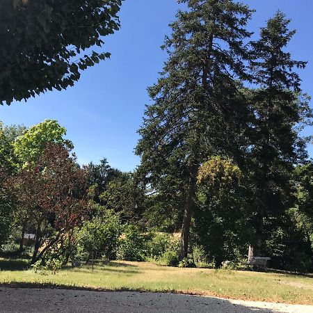 Charmant F1 Avec Terrasse Et Vue Sur Jardin Arbore - Fraicheur Naturelle Du Rez De Jardin - Parking 벨히브 쉬르 알리에 외부 사진